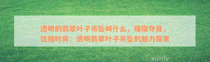 透明的翡翠叶子吊坠叫什么，璀璨夺目，优雅时尚：透明翡翠叶子吊坠的魅力探索