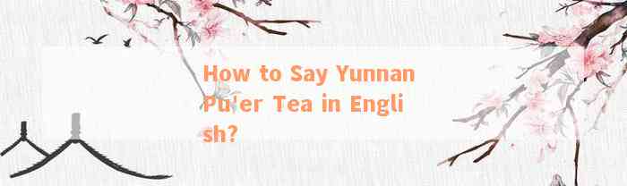 How to Say Yunnan Pu'er Tea in English?