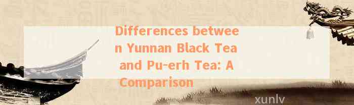 Differences between Yunnan Black Tea and Pu-erh Tea: A Comparison