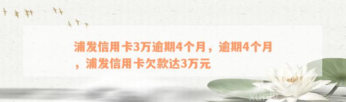 浦发信用卡3万逾期4个月，逾期4个月，浦发信用卡欠款达3万元