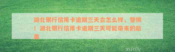 湖北银行信用卡逾期三天会怎么样，警惕！湖北银行信用卡逾期三天可能带来的后果