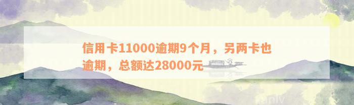 信用卡11000逾期9个月，另两卡也逾期，总额达28000元