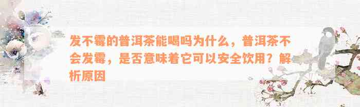 发不霉的普洱茶能喝吗为什么，普洱茶不会发霉，是否意味着它可以安全饮用？解析原因