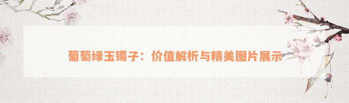 葡萄绿玉镯子：价值解析与精美图片展示