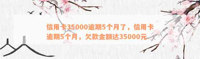 信用卡35000逾期5个月了，信用卡逾期5个月，欠款金额达35000元