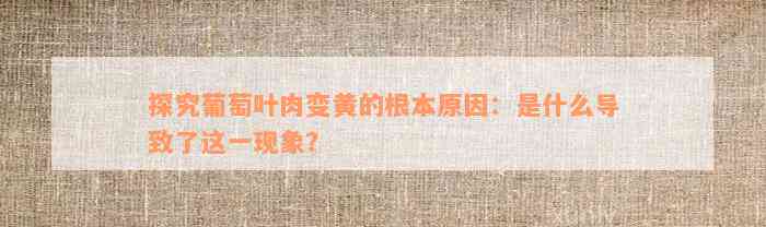 探究葡萄叶肉变黄的根本原因：是什么导致了这一现象？