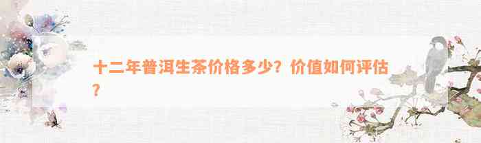 十二年普洱生茶价格多少？价值如何评估？