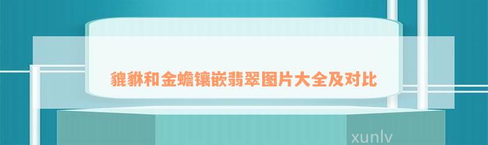 貔貅和金蟾镶嵌翡翠图片大全及对比