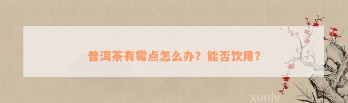 普洱茶有霉点怎么办？能否饮用？