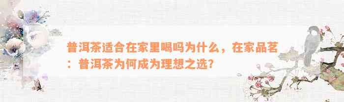 普洱茶适合在家里喝吗为什么，在家品茗：普洱茶为何成为理想之选？