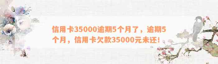 信用卡35000逾期5个月了，逾期5个月，信用卡欠款35000元未还！