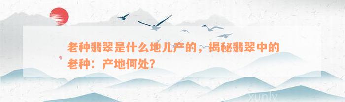 老种翡翠是什么地儿产的，揭秘翡翠中的老种：产地何处？