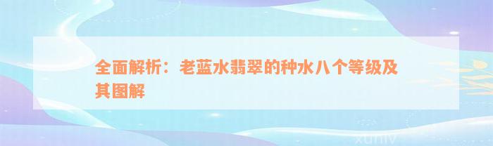 全面解析：老蓝水翡翠的种水八个等级及其图解