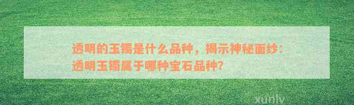 透明的玉镯是什么品种，揭示神秘面纱：透明玉镯属于哪种宝石品种？