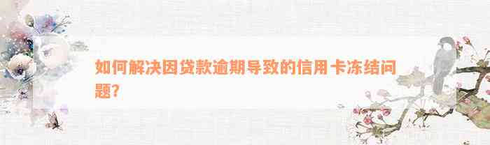 如何解决因贷款逾期导致的信用卡冻结问题？