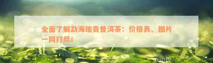 全面了解勐海瑞贡普洱茶：价格表、图片一网打尽！