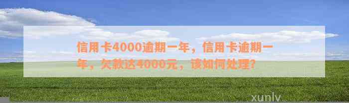 信用卡4000逾期一年，信用卡逾期一年，欠款达4000元，该如何处理？