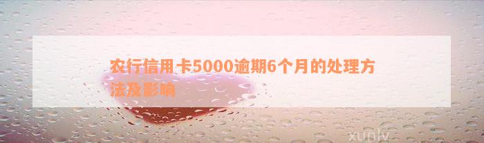 农行信用卡5000逾期6个月的处理方法及影响