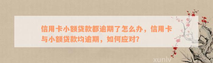 信用卡小额贷款都逾期了怎么办，信用卡与小额贷款均逾期，如何应对？