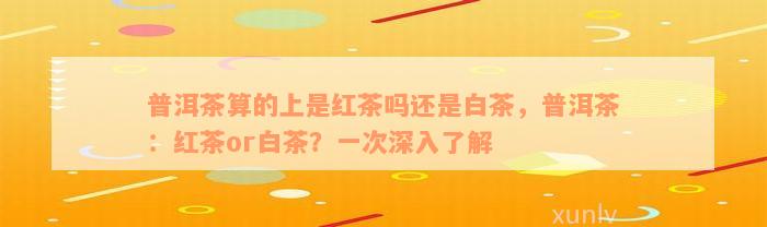 普洱茶算的上是红茶吗还是白茶，普洱茶：红茶or白茶？一次深入了解