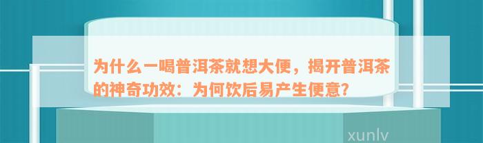 为什么一喝普洱茶就想大便，揭开普洱茶的神奇功效：为何饮后易产生便意？