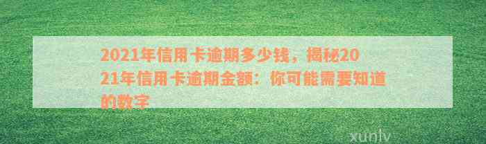 2021年信用卡逾期多少钱，揭秘2021年信用卡逾期金额：你可能需要知道的数字