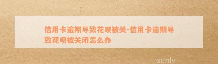 信用卡逾期导致花呗被关-信用卡逾期导致花呗被关闭怎么办