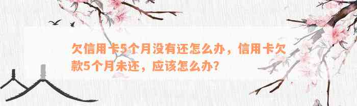 欠信用卡5个月没有还怎么办，信用卡欠款5个月未还，应该怎么办？