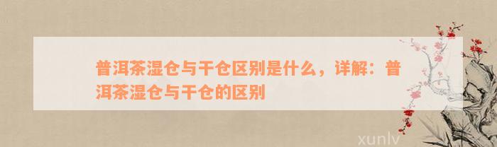 普洱茶湿仓与干仓区别是什么，详解：普洱茶湿仓与干仓的区别