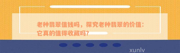 老种翡翠值钱吗，探究老种翡翠的价值：它真的值得收藏吗？