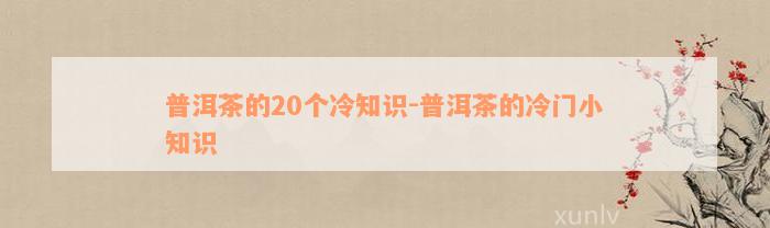 普洱茶的20个冷知识-普洱茶的冷门小知识