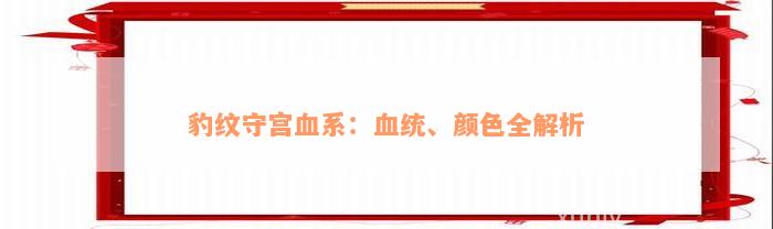 豹纹守宫血系：血统、颜色全解析