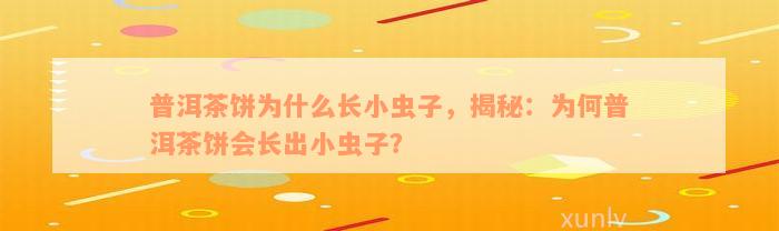 普洱茶饼为什么长小虫子，揭秘：为何普洱茶饼会长出小虫子？