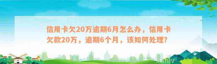 信用卡欠20万逾期6月怎么办，信用卡欠款20万，逾期6个月，该如何处理？