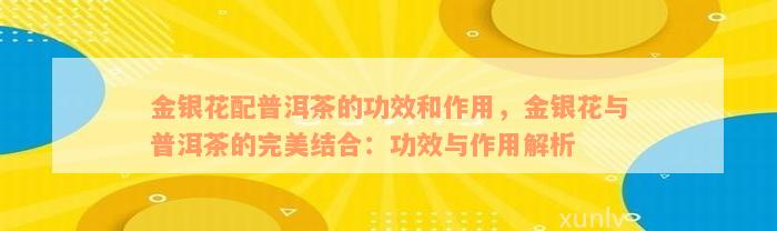 金银花配普洱茶的功效和作用，金银花与普洱茶的完美结合：功效与作用解析