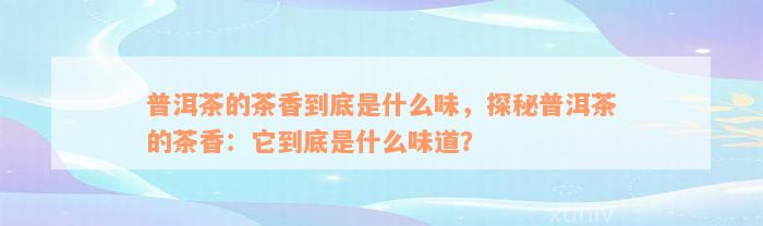 普洱茶的茶香到底是什么味，探秘普洱茶的茶香：它到底是什么味道？
