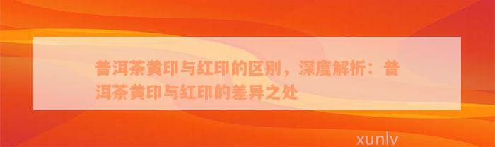 普洱茶黄印与红印的区别，深度解析：普洱茶黄印与红印的差异之处