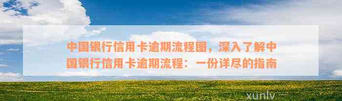 中国银行信用卡逾期流程图，深入了解中国银行信用卡逾期流程：一份详尽的指南