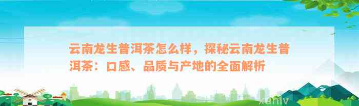 云南龙生普洱茶怎么样，探秘云南龙生普洱茶：口感、品质与产地的全面解析