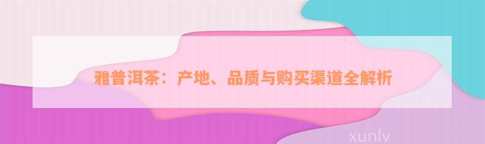 雅普洱茶：产地、品质与购买渠道全解析