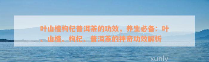 叶山楂枸杞普洱茶的功效，养生必备：叶、山楂、枸杞、普洱茶的神奇功效解析