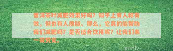 普洱茶叶减肥效果好吗？知乎上有人称有效，但也有人质疑。那么，它真的能帮助我们减肥吗？是否适合饮用呢？让我们来一探究竟。