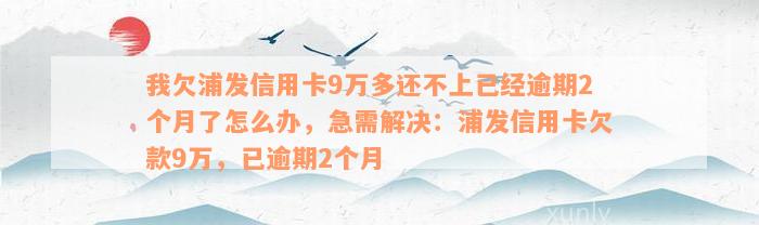 我欠浦发信用卡9万多还不上已经逾期2个月了怎么办，急需解决：浦发信用卡欠款9万，已逾期2个月