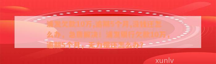 浦发欠款10万,逾期5个月,没钱还怎么办，急需解决！浦发银行欠款10万，逾期5个月，无力偿还怎么办？