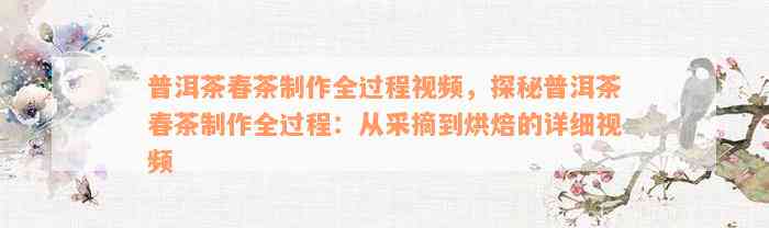 普洱茶春茶制作全过程视频，探秘普洱茶春茶制作全过程：从采摘到烘焙的详细视频