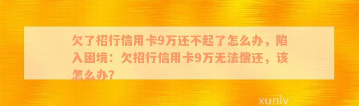 欠了招行信用卡9万还不起了怎么办，陷入困境：欠招行信用卡9万无法偿还，该怎么办？