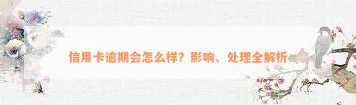 信用卡逾期会怎么样？影响、处理全解析