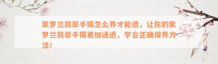 紫罗兰翡翠手镯怎么养才能透，让你的紫罗兰翡翠手镯更加通透，学会正确保养方法！