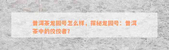 普洱茶龙园号怎么样，探秘龙园号：普洱茶中的佼佼者？