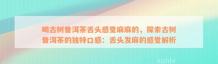 喝古树普洱茶舌头感觉麻麻的，探索古树普洱茶的独特口感：舌头发麻的感觉解析